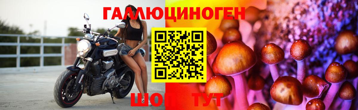 Галлюциногенные грибы Cubensis  Вход с VPN  Галлюциногенные грибы прущие грибы  Красноперекопск 